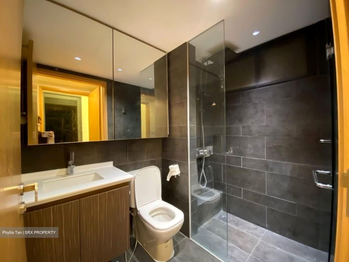 Parc Olympia (D17), Condominium #588914551